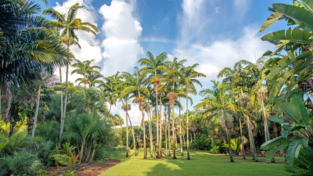 Montgomery Palmetum & Palm Collection - Fairchild Tropical Botanic Garden