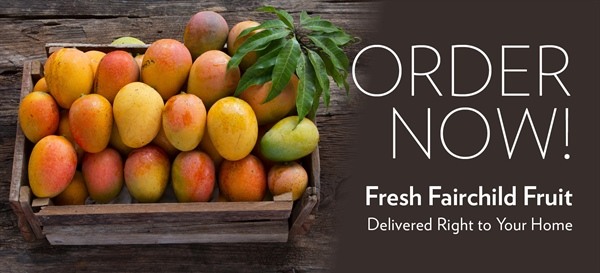 Fresh Fruit Delivered