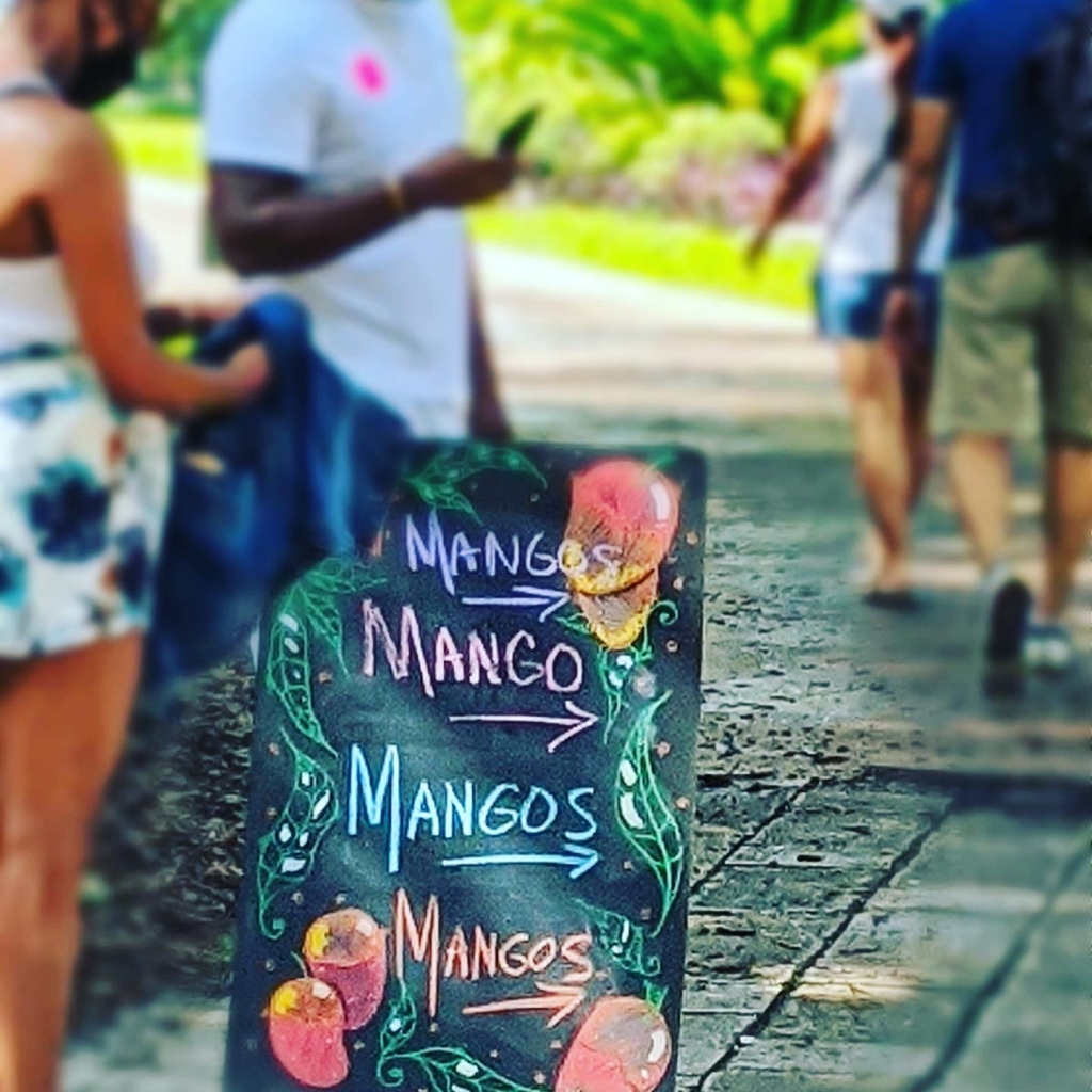 Mango Days of Summer Fairchild Tropical Botanic Garden