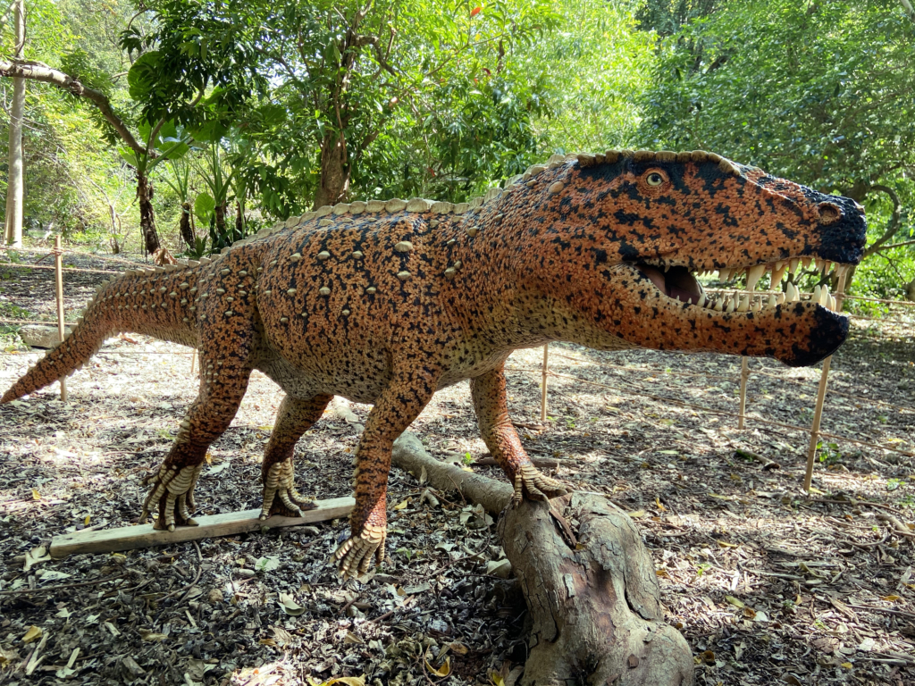 Jurassic Garden - Fairchild Tropical Botanic Garden