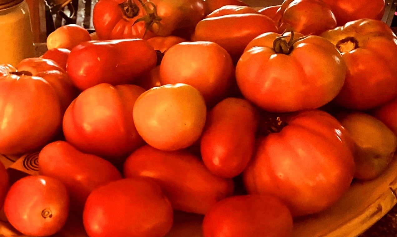 huberman tomato