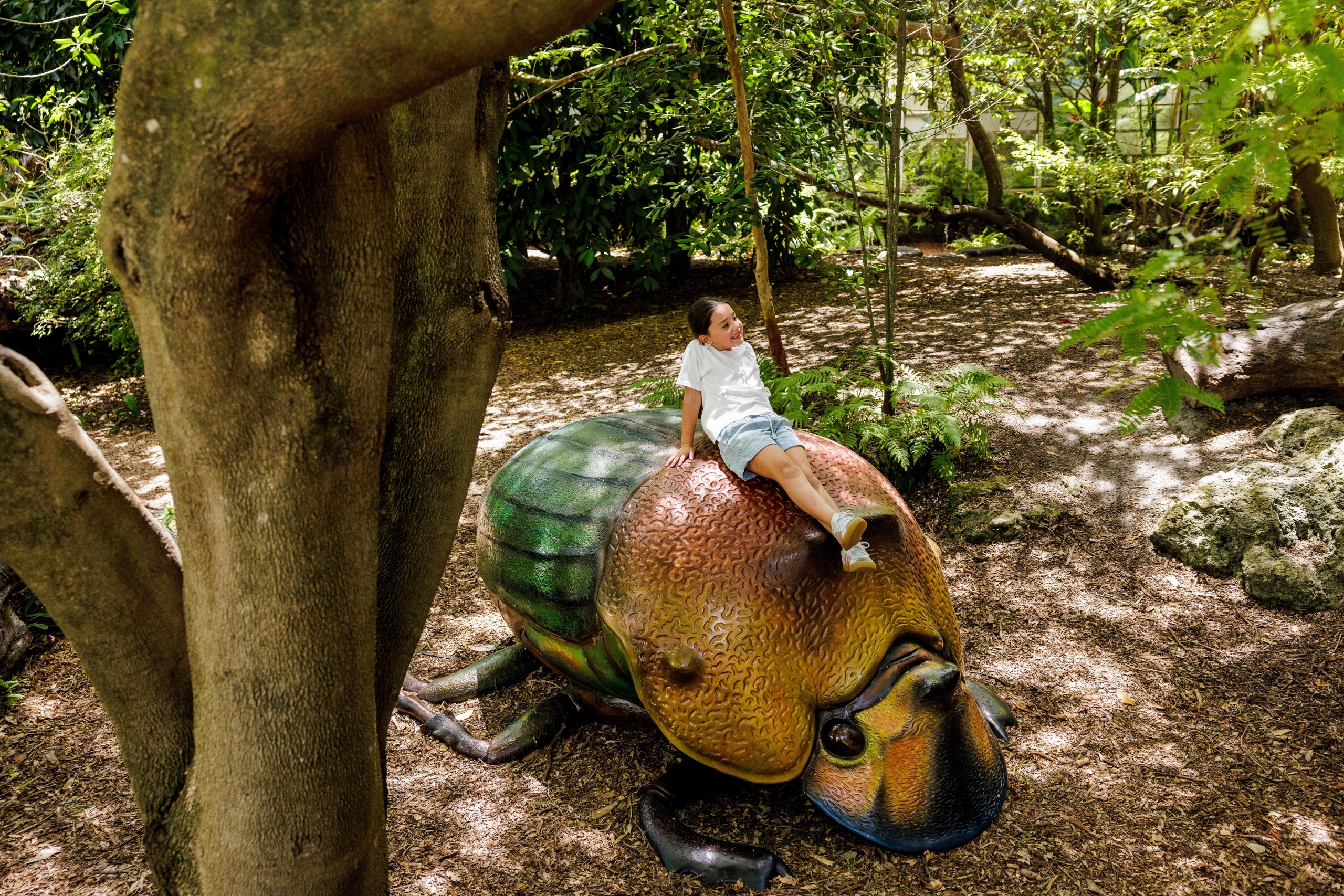 Bugging Out - Fairchild Tropical Botanic Garden