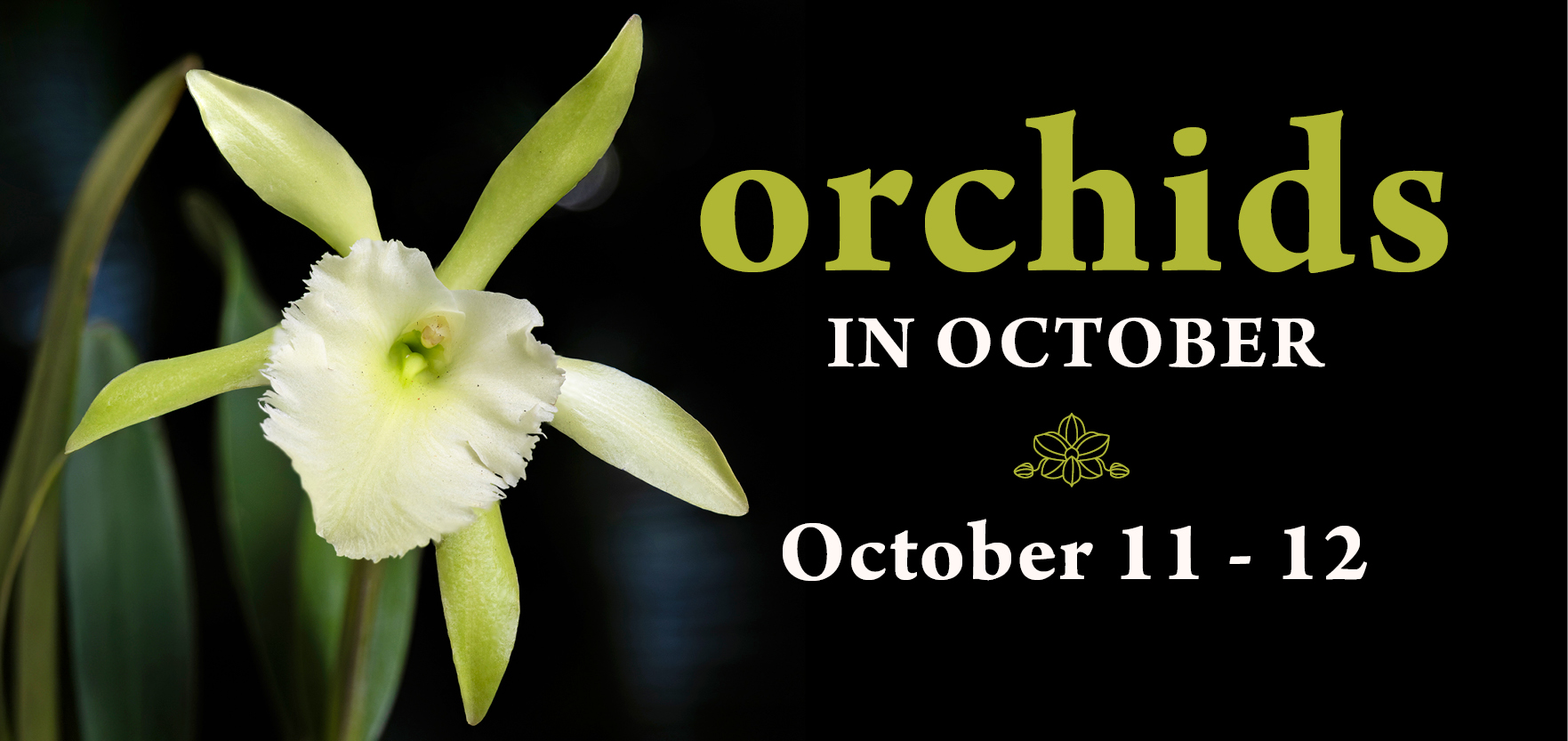 Fairchild Orchids in October 2026