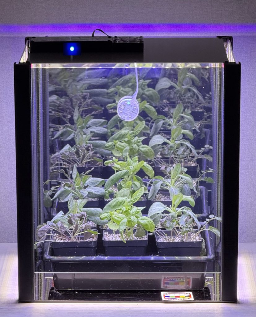 A GBE PlantLab growing leafy greens under LED light
