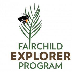 Explorer program logo (002)