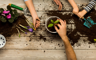 Family sits flowers in a pot. Spring and hobbies, family grows flowers together. Beauty and nature. Hobby home for whole family, entertainment with children, development and education. Flower ground