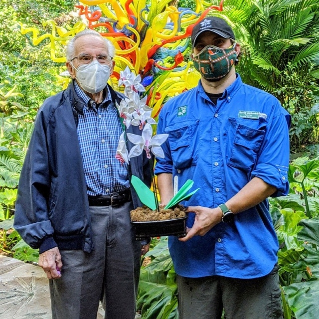 Today we celebrate a VERY special birthday! Today our amazing volunteer, Dr. David Keil, turns 100! Happy Birthday Dr. Keil and THANK YOU for your dedication to Fairchild! 💚
.
Dr. Keil has been a volunteer at Fairchild since 2015. He works with our orchid team, enjoys getting his hands dirty, and loves to be around the beautiful flowers.  Today our orchid team presented him with a unique origami orchid in celebration of this very special day. 🎉
.
Fairchild volunteers like Dr. Keil have been an integral part of the Garden’s history and contribute to every aspect of our operations.  Their support, dedication, and love of the Garden is immeasurable!  Thank you to all of our volunteers for everything that you do, each and every day! 💚☀️🌱
.
If you want to become a Fairchild volunteer, visit our website to join the team! Link in bio. 😊