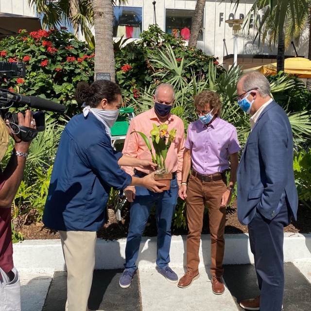 Today we celebrated ‘Fairchild on Lincoln’ our amazing partnership with @lincolnrd . Together we hosted a ceremonial orchid planting in front of the iconic Sausage Tree with @mayordangelber and other #Miami dignitaries.

#Fairchild #onLincoln is a smartphone-accessible, self-guided tour of the spectacular plant life flourishing along the Road’s 8-block pedestrian promenade. Scan over 120 QR-coded signs situated on trees, palms, orchids, and plants to be connected to a virtual guide curated by Fairchild’s scientists.
.
📸: Cattleya orchid 😍