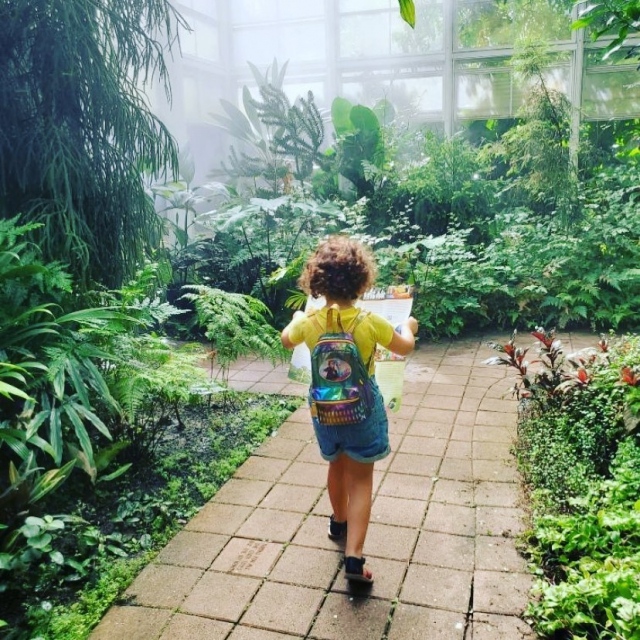 What a beautiful day for an adventure! ☀️
Expedition Discovery, our new kids adventure program, is finally here!  Families can set out on self-guided missions and collect one of a kind pins for every mission accomplished! Visit The Shop at Fairchild to start your adventure! 
.
Link in bio for more info.