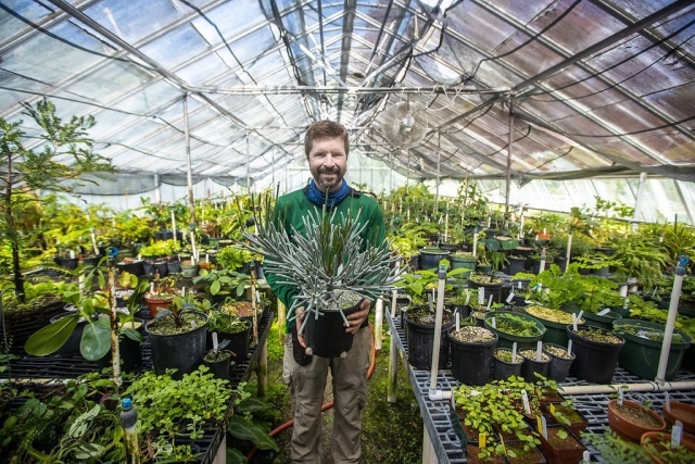It's our Online Spring Plant Sale Anniversary and we want to celebrate with you! 💚 Starting today thru April 25th, use code CELEBRATE at checkout to receive 20% off your plant order. Link in bio to shop ☺️
.
📸: pictured here is our amazingly talented Chief Explorer @chadhusby