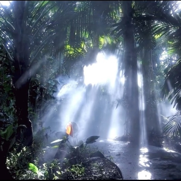 Happy Earth Day from all of us at Fairchild🌍 This is how we celebrate Earth Day: 365 days of the year! 💚 A tropical oasis with something spectacular to discover around every corner 😊